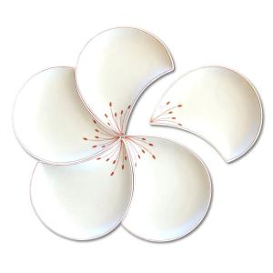 日本のお土産 おみやげ 海外へのおみやげ 伝統工芸品 食器 有田焼 梅