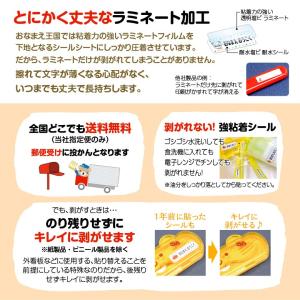 お名前シール 防水 シンプルデザイン(ラミネー...の詳細画像4
