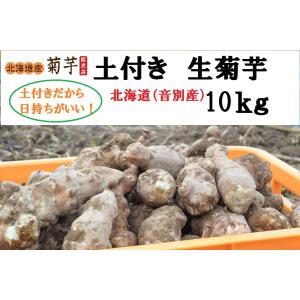 生菊芋 キクイモ 洗浄済  １０ｋｇ  北海道産  音別町 無農薬 菊芋 キクイモ イヌリン　真空パック 在庫処分につき　在庫限り、通常価格12000円から30％ＯＦＦ！