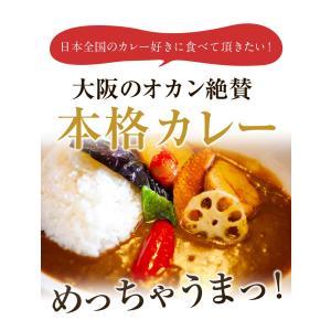 爆買 最短当日発送 カレー 大阪風甘辛カレー3...の詳細画像4