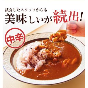 爆買 最短当日発送 カレー 大阪風甘辛カレー3...の詳細画像5