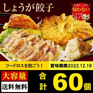 売り切り！訳ありセール 賞味期限【2022.12.19】しょうが餃子60個 名産品 大阪 冷凍食品 業務用 ぎょうざ