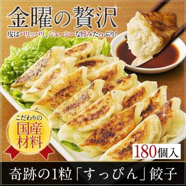 ※在庫切れ終売※ プレミアム会員46%OFFの3560円 できたて発送 餃子 ぎょうざ 取り寄せ 点...