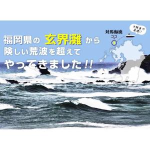 プレミアム会員なら50%OFF 翌日発送あすつ...の詳細画像1