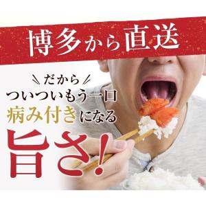 プレミアム会員なら50%OFF 翌日発送あすつ...の詳細画像3