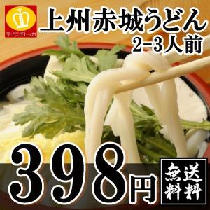 忠治庵うどん2-3人前 250g ポイント消化 乾麺 群馬県名産品 名産品 お中元