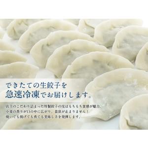 プレミアム会員50%OFF 餃子 ぎょうざ 取...の詳細画像1