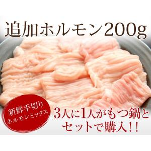 ホルモン 小腸 牛肉 もつ鍋セット 追加トッピング具材