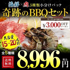 あす楽 送料無料 ランキング第1位 極厚秘伝のタレ漬け 牛焼肉セット4.8kg 約20人前 焼き肉  バーベキュー用 冷凍食品 特産品  お試し 訳あり 牛肉