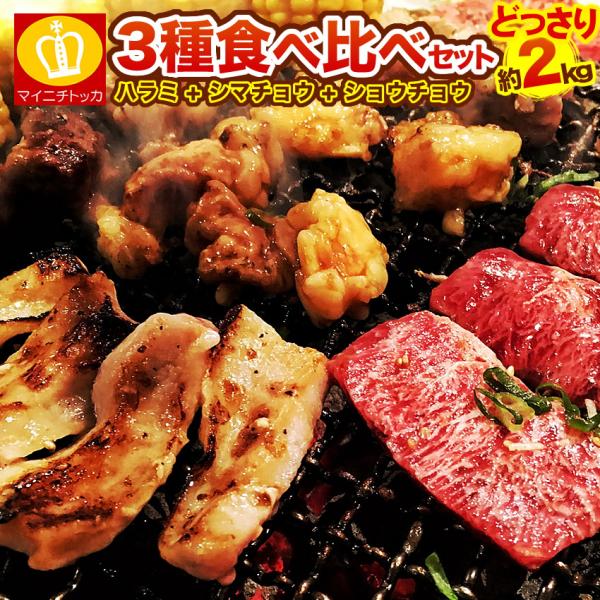 爆買 11960円⇒半額5980円 焼肉BBQ お肉2kgセット 食べ比べ3種 牛ハラミ1kg 大腸...