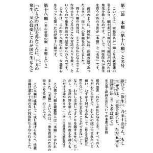 ハンディ正信偈【ポスト便のみ】の詳細画像2