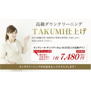 宅配クリーニング　高級ダウン1点  「撥水加工・汗抜き加工・防虫カバー」付　(北海道・沖縄・離島除