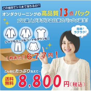 宅配クリーニング 13点まで詰め放題+特典付(北海道・沖縄・離島除く)
