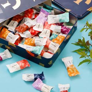 ガレー チョコレート ナノバー50個入 ベルギー王室御用達 Galler