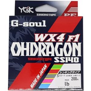 マルチ5色 エックスブレイドX-Braid ライン G-soul オードラゴンWX4F1 200m