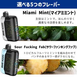 電子タバコ VAPE GEEK BAR PUL...の詳細画像4