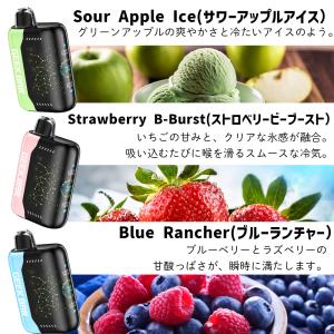 電子タバコ VAPE GEEK BAR PUL...の詳細画像5