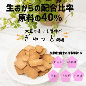 生おからクッキー 堅焼き 500g (250g...の詳細画像2
