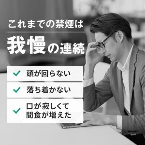 ニコレス ニル NICOLESS NiL 4箱...の詳細画像4