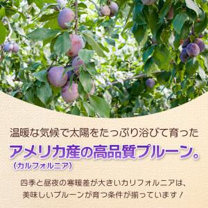 プルーン 個包装 ドライプルーン 400g 2...の詳細画像2