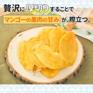 <アウトレット特価>ドライマンゴー リッチカッ...の詳細画像2