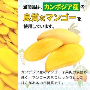 <アウトレット特価>ドライマンゴー リッチカッ...の詳細画像5