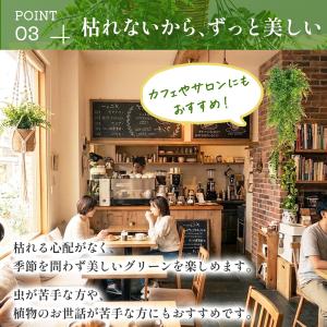 フェイクグリーン 壁掛け 78cm 2個セット...の詳細画像4