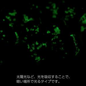 ケラマ サンセット オレンジ ホタルガラス ビ...の詳細画像2