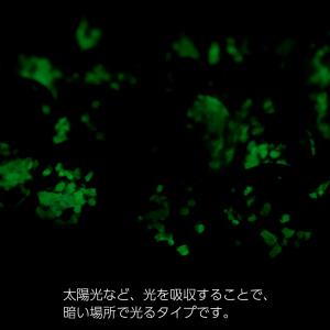 ホタルガラス 光る マリンパープル クリア ビ...の詳細画像2
