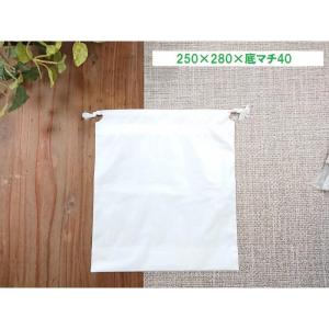 ビニール 巾着袋 大 ラッピング アメニティ袋の詳細画像1