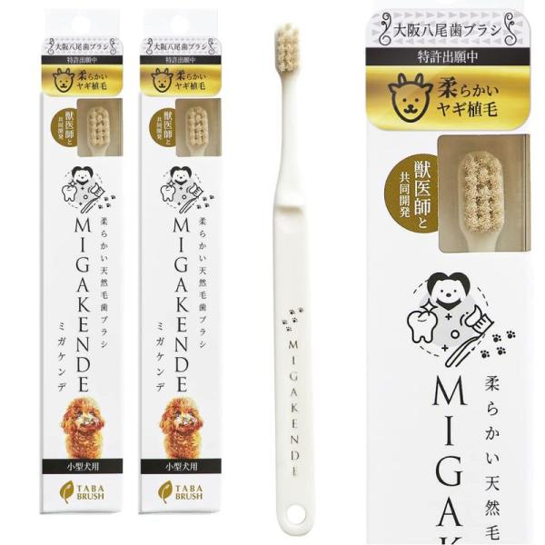 ミガケンデ 小型犬用 歯ブラシ 2本（ヤギ植毛：超やわらか）日本製 天然毛 MIGAKENDE