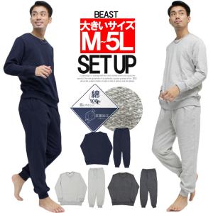 セットアップ メンズ 大きいサイズ スウェット ...の商品画像