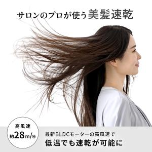 ドライヤー ワンダム 海外対応 大風量 速乾 ...の詳細画像5
