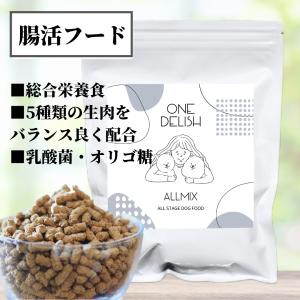 ONE DELISH HORSE お試しサイズ / 馬肉 ドッグフード 腸活 国産 無添加