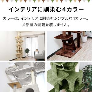 1年保証 キャットツリー タワー 高さ235-...の詳細画像4