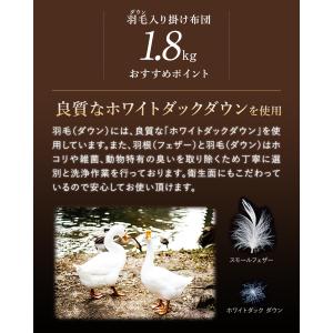 1年保証 布団セット シングル 7点セット 羽...の詳細画像2