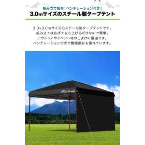 タープテント 1年保証 3m FIELDOOR...の詳細画像4