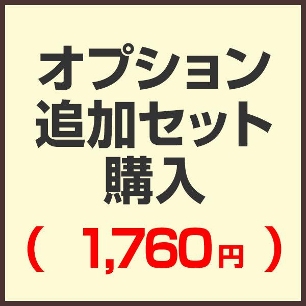 オプション追加セット購入ページ （セットで購入済みの為こちらから購入する必要はありません）（1,76...
