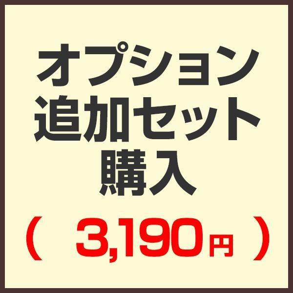 オプション追加セット購入ページ （セットで購入済みの為こちらから購入する必要はありません）（3,19...