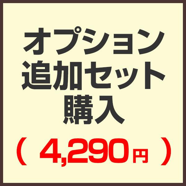 オプション追加セット購入ページ （セットで購入済みの為こちらから購入する必要はありません）（4,29...