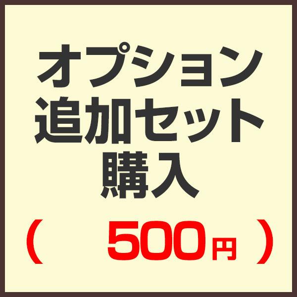 オプション追加セット購入ページ （セットで購入済みの為こちらから購入する必要はありません）（500円...