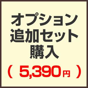 オプション追加セット購入ページ（5,390円)｜onedollar8