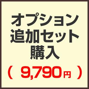 オプション追加セット購入ページ （セットで購入済みの為こちらから購入する必要はありません）（9,790円)