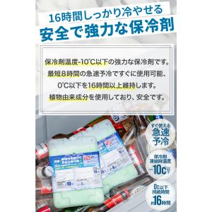 1年保証 保冷剤 最強 長時間 日本製 冷凍 ...の詳細画像4