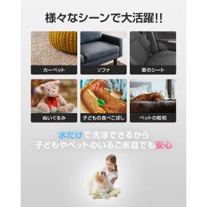 1年保証 スチームクリーナー 水で洗う カーペ...の詳細画像3