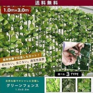 1年保証 グリーンフェンス 1m×2m 目隠し グリーンカーテン 1年保証 グリーンフェンス 1m×2m 目隠し グリーンカーテン