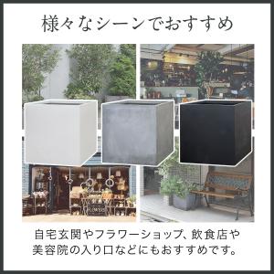 1年保証 プランター 大型 50×50cm 高...の詳細画像5