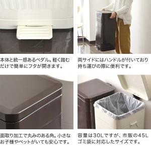 1年保証 ゴミ箱 30L ペダル ふた付き ペ...の詳細画像4