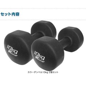 1年保証 ダンベル 10kg 2個セット 合計...の詳細画像1