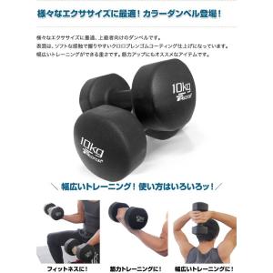1年保証 ダンベル 10kg 2個セット 合計...の詳細画像2